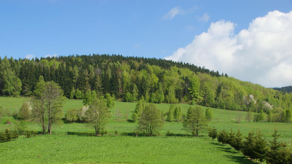 Villa La Val, Karkonosze Szarocin Exterior foto